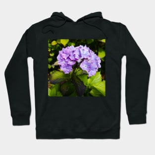 Lilac purple hydrangea Hoodie